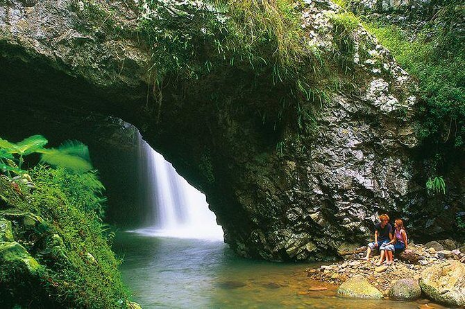 Natural Bridge Glow Worm Night Tour from Gold Coast - FAQ