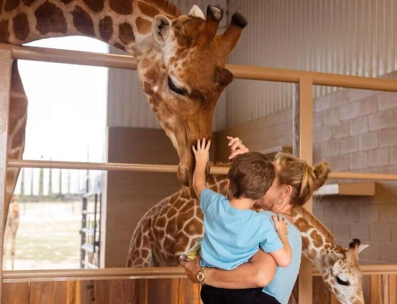 Natural Bridge Wildlife Ranch: Self-Guided Safari Drive-Thru - Walk-A-Bout and Other Highlights