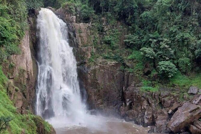 Natural Park Khao Yai with Mr Nong - Key Points