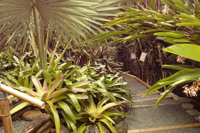 Nature and Sightseeing at Phantasea Tropical Botanical Garden - Frequently Asked Questions
