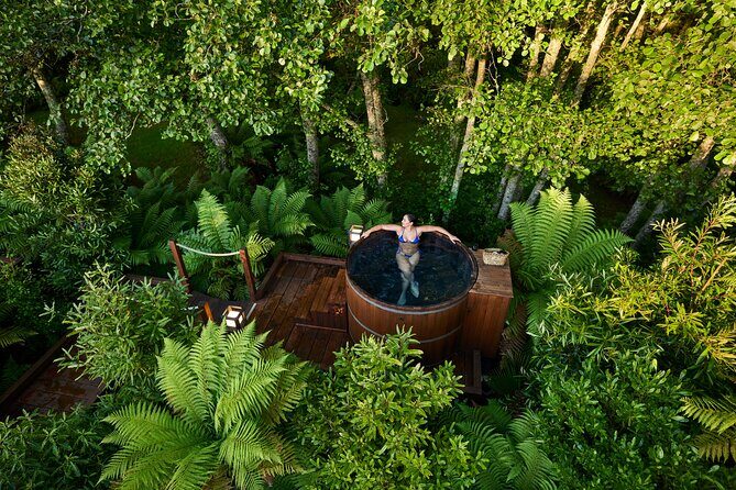 Nature at its best Lake Tarawera Treetop Walk and Forest Spas - Introduction