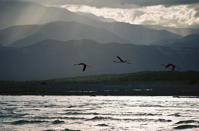Nature Combo Oviedo Lagoon & Bahia de las Aguilas - Authentic Experiences & Highlights from Reviews