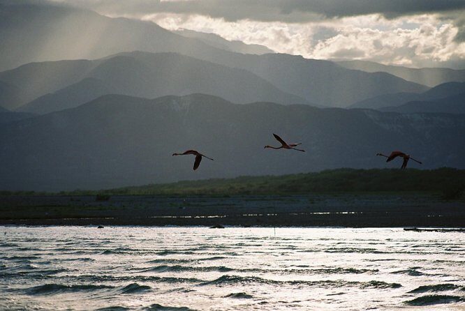 Nature Combo Oviedo Lagoon & Bahia de las Aguilas - Price and Value