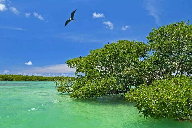 Nature Day, Sian Kaan Biosphere Tour! Round Transportation from Tulum City - A Closer Look at the Itinerary