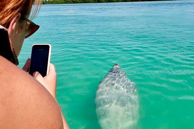 Nature Day, Sian Kaan Biosphere Tour! Round Transportation from Tulum City - The Real Experience: What Travelers Say