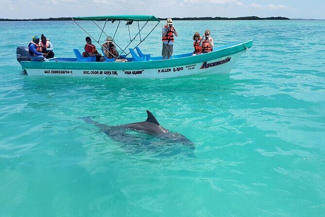 Nature Day, Sian Kaan Biosphere Tour! Round Transportation from Tulum City - Who Should Consider This Tour?
