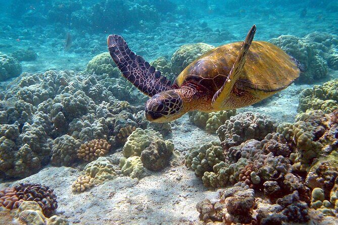 Nature Day, Sian Kaan Biosphere Tour! Round Transportation from Tulum City - Final Thoughts