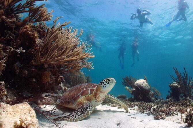 Nature Day, Sian Kaan Biosphere Tour! Round Transportation from Tulum City - FAQ