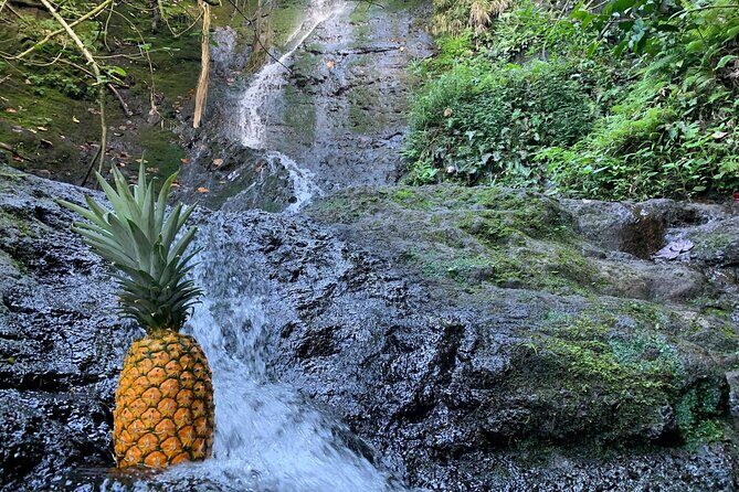 Nature Hike to Waterfall - The Sum Up: Who Should Book This Tour?