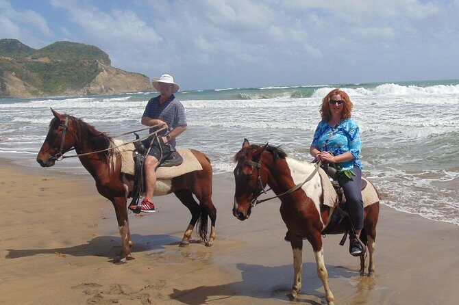 Nature & Historical Horseback Riding Tours St. Lucia - The Sum Up