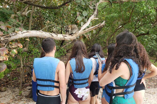 Nature & Island Exploration on SUP/Kayak - Analyzing the Value and Practicalities