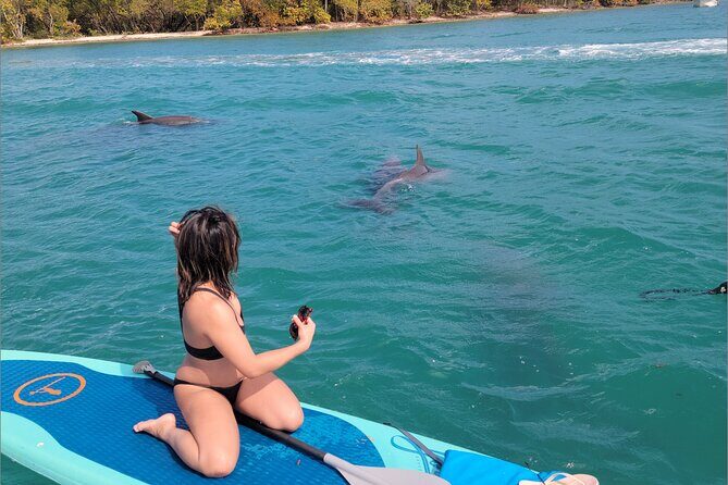 Nature & Island Exploration on SUP/Kayak - FAQ