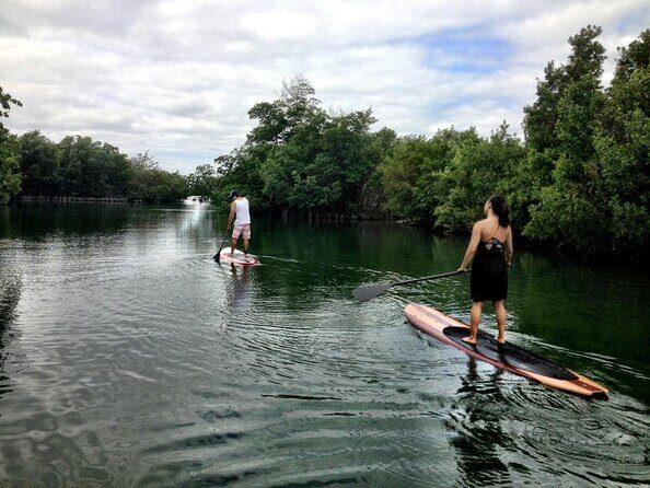 Nature Stand Up Paddle Boarding Experience in Miami - Key Points