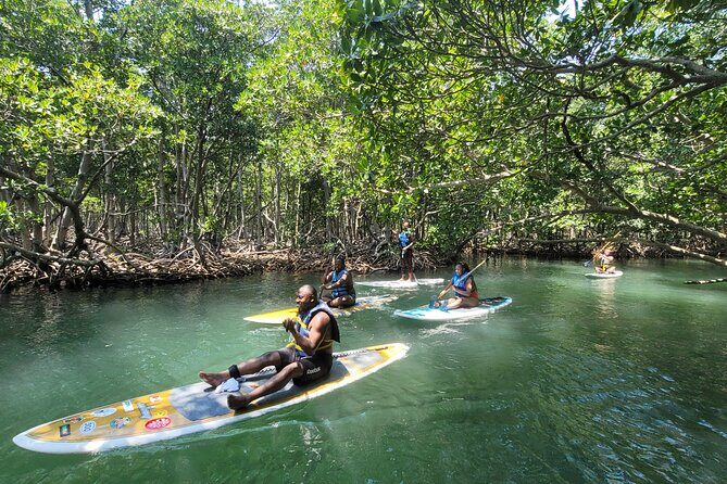 Nature Stand Up Paddle Boarding Experience in Miami - Who Should Consider This Tour?
