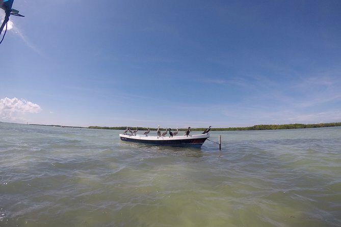Nature Tour at Las Coloradas and Rio Lagartos Biosphere - Frequently Asked Questions