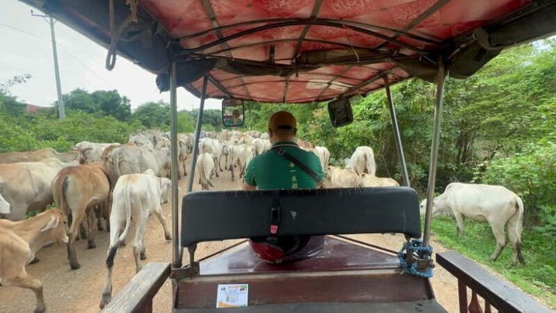 Nature tour through Battambang/Local area and landmarks - Key Points
