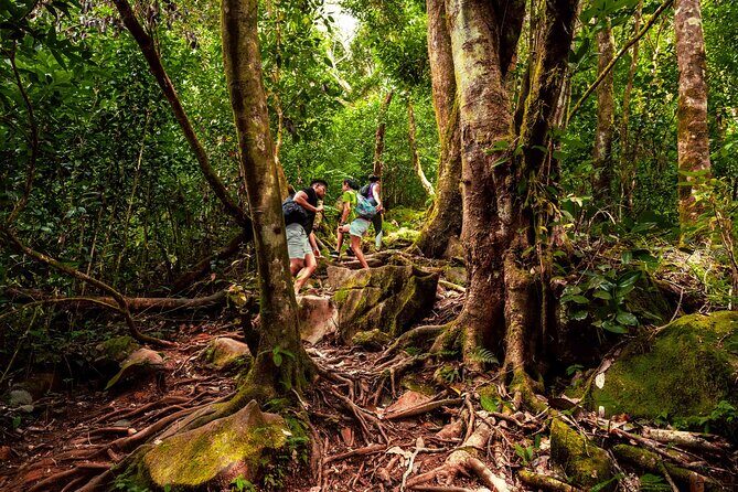 Nature trail - Morne Blanc (Mahe) - Authentic Traveler Perspectives