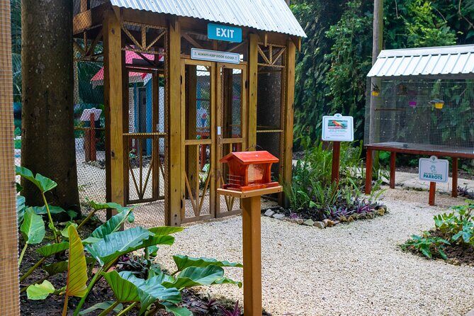 Nature Trail, Tram & Rum Tasting at Harrison's Cave by Chukka - Who Will Love This Experience?