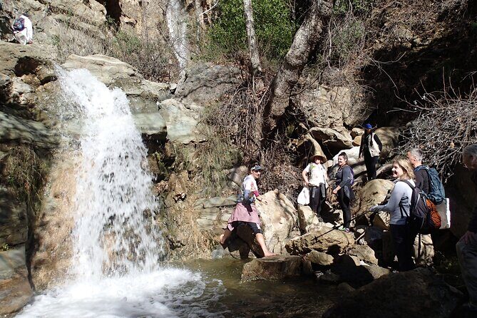 Nature Walk/Hike Tour near Disneyland: ID plants & wildlife - A Deep Dive into the Experience