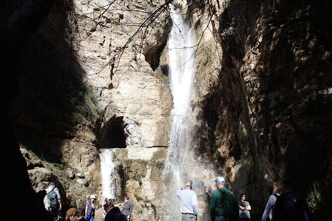 Nature Walk/Hike Tour near Disneyland: ID plants & wildlife - What You Can Expect