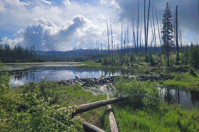 Nature Walk in Glacier National Park - What the Reviews Say