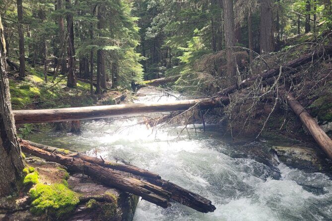 Nature Walk in Glacier National Park - Booking Tips
