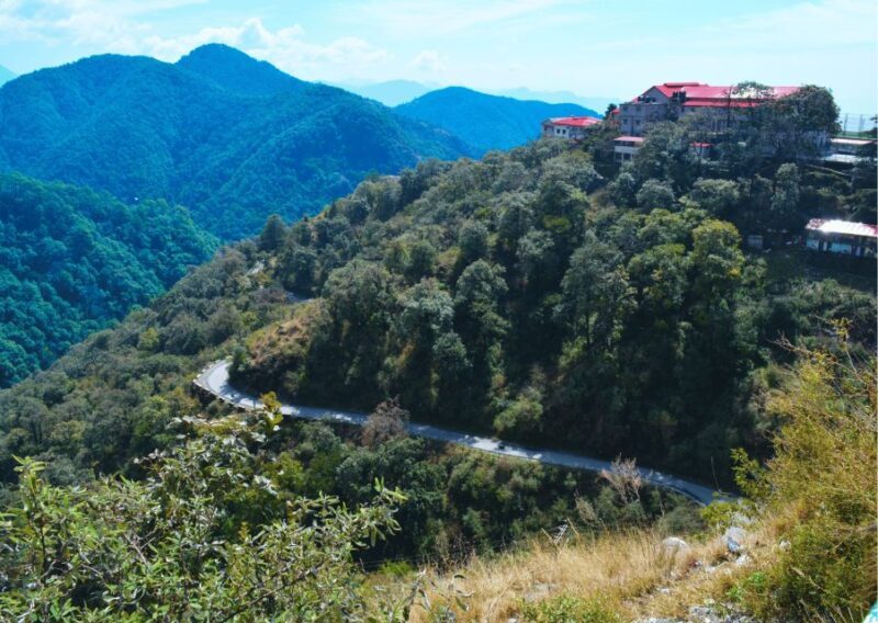 Nature Walk of Mussoorie (2 Hours Guided Walking Tour) - Authentic Experiences and Insights from Reviews