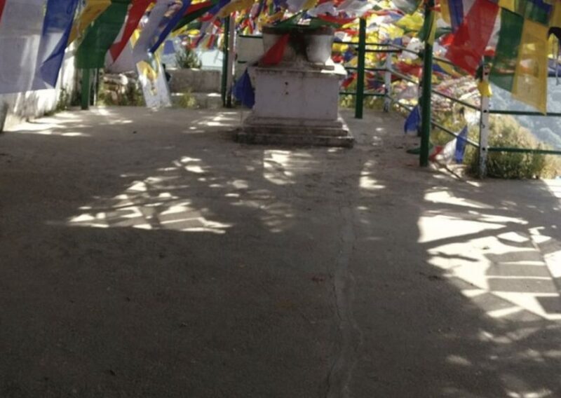 Nature Walk of Mussoorie (2 Hours Guided Walking Tour) - Final Thoughts