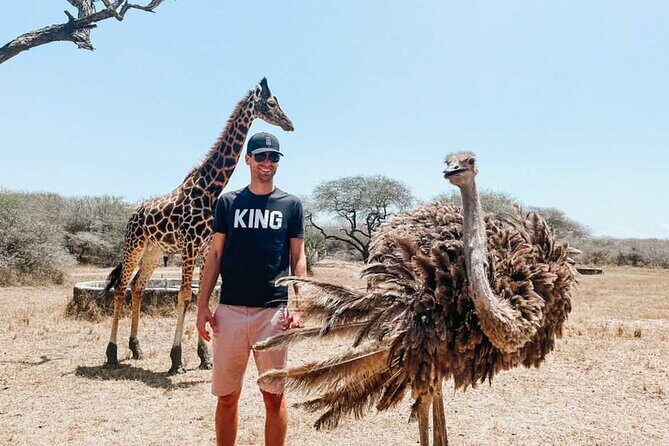 Nature Walk with Giraffes in Mombasa - What to Expect During the Tour