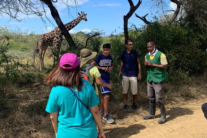 Nature Walk with Giraffes in Mombasa - Practical Details and Considerations