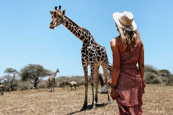Nature Walk with Giraffes in Mombasa - The Sum Up