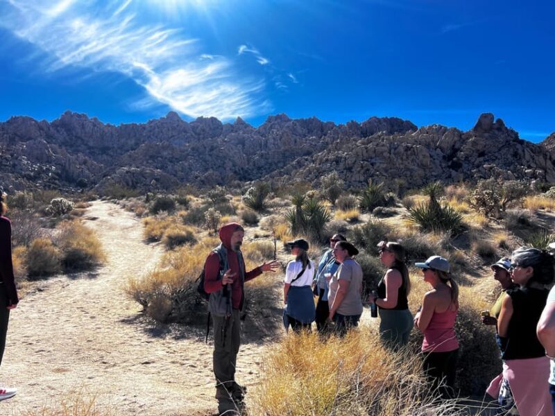 Nature Walk+Cacao Ceremony+Soundbath Meditation- Joshua Tree - Final Thoughts: Is This Tour Worth It?