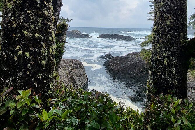 Nature Walks in Pacific - Final Word