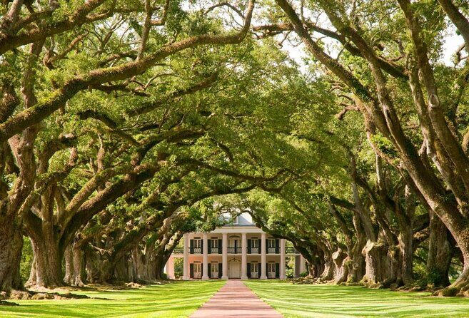 Nawlins Luxury: Laura, Oak Alley or Whitney Plantation Tour w/Transportation - Key Points