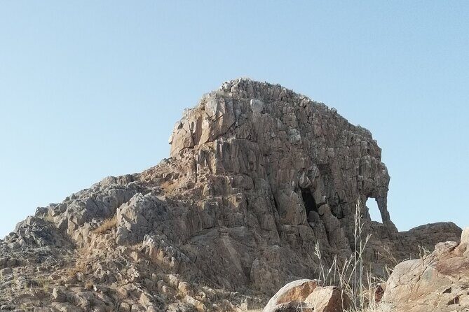 N'DJAMENA The Elephant-Dandi rock and Doughia tourist resort - Introduction: A Day of Natural Wonders and Authentic Encounters