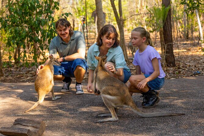 Near Darwin Territory Wildlife Park General Entry - What the Park Offers Overall