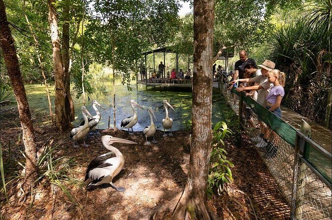 Near Darwin Territory Wildlife Park General Entry - Final Thoughts
