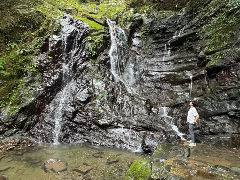 Near KIX: Osakas Inunaki Mountains & Waterfall Pilgrimage - Authenticity and Value