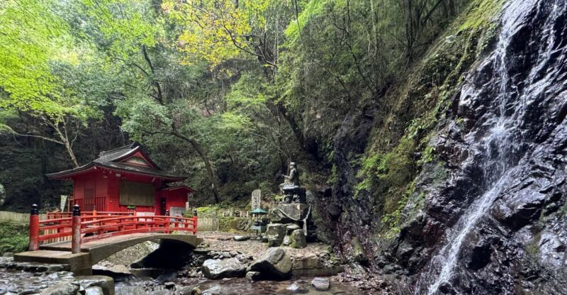 Near KIX: Osakas Inunaki Mountains & Waterfall Pilgrimage - Final Thoughts