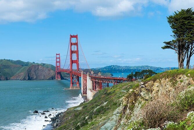 Nearly Private San Francisco Tour Including Sausalito - An In-Depth Look at the Tour Experience