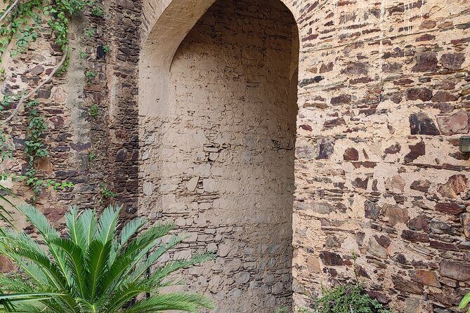 Neemrana Fort visit with Lunch From Delhi - A Detailed Breakdown of the Experience
