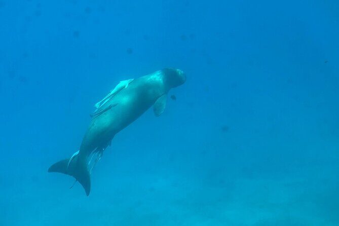 Nefertari Cruise Marsa Alam: Explore Red Sea's Wonders & Glories - Who Will Love This Tour?