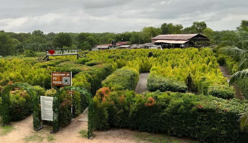 Negeri Sembilan: PD Maze Admission Ticket - What Makes PD Maze Special?