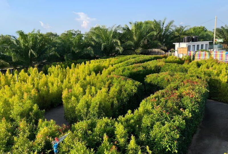 Negeri Sembilan: PD Maze Admission Ticket - Why Visit PD Maze?
