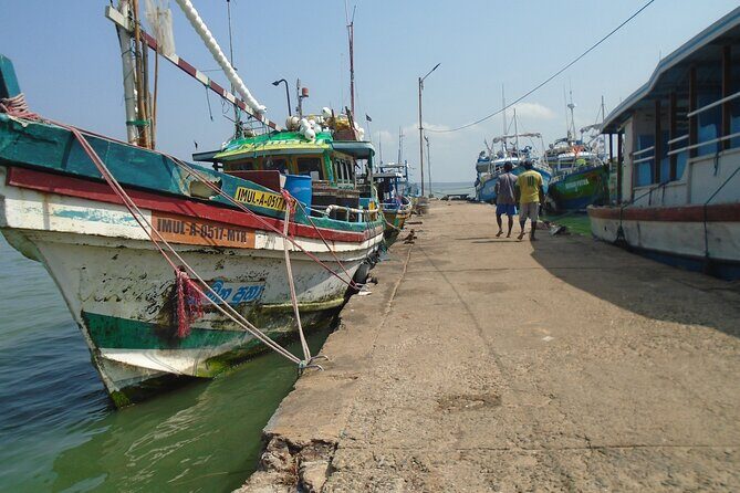 Negombo City Tour by Tuk Tuk - Transportation and Logistics