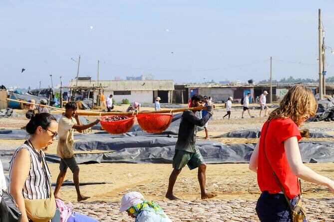 Negombo City Tour by Tuk Tuk - The Vibrant Fish Market and Fishing Industry
