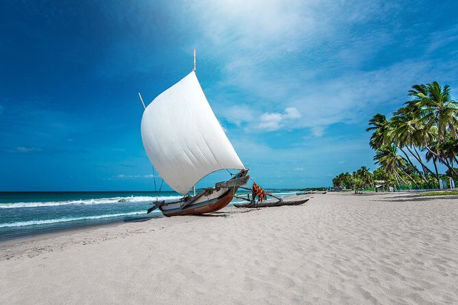 Negombo City Tour from Colombo - What to Expect from the Negombo City Tour
