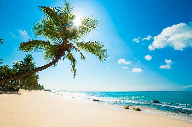 Negombo City Tour from Colombo - Why Choose This Tour?
