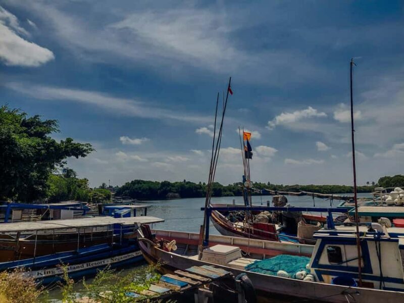 Negombo & Colombo: Full-Day Tour with Lunch - The Sum Up