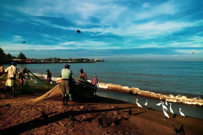 Negombo Day Tour - Who Should Consider This Tour?